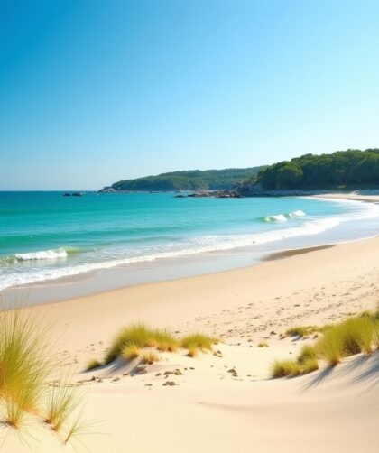 Biscarrosse : escapade entre plages préservées et délices du terroir, un véritable joyau à explorer