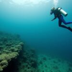 Explorer Brocabrac : Une plongée au cœur de ses fonctionnalités inédites